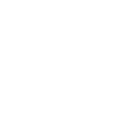 Chat Icon